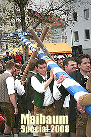 Dutzende Maibäume 2005 im Maibaum Special (Foto: Martin Schmitz)